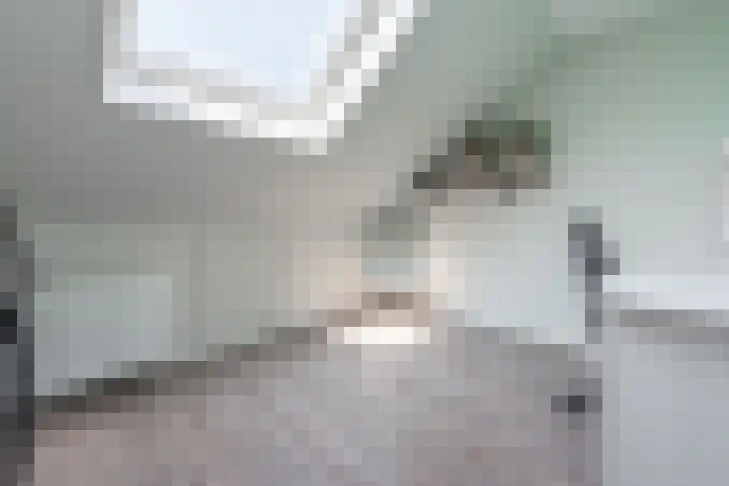 Argusvlinder 6 Nijkerk thumbnail 27