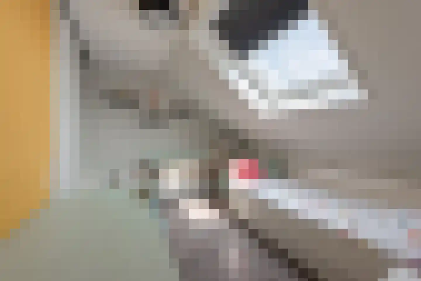 Argusvlinder 6 Nijkerk thumbnail 29