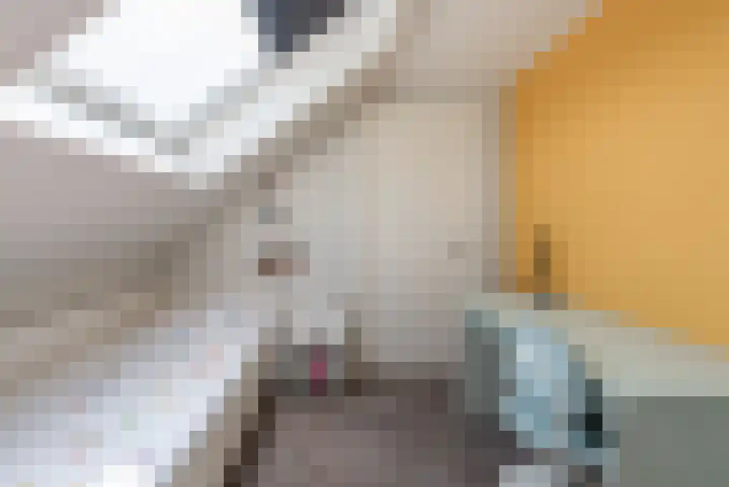 Argusvlinder 6 Nijkerk thumbnail 30