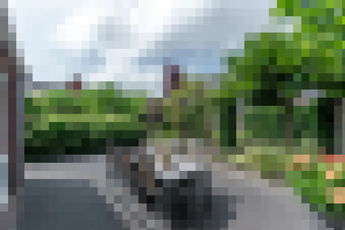Argusvlinder 6 Nijkerk thumbnail 31
