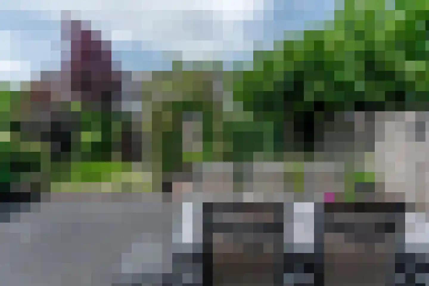Argusvlinder 6 Nijkerk thumbnail 32
