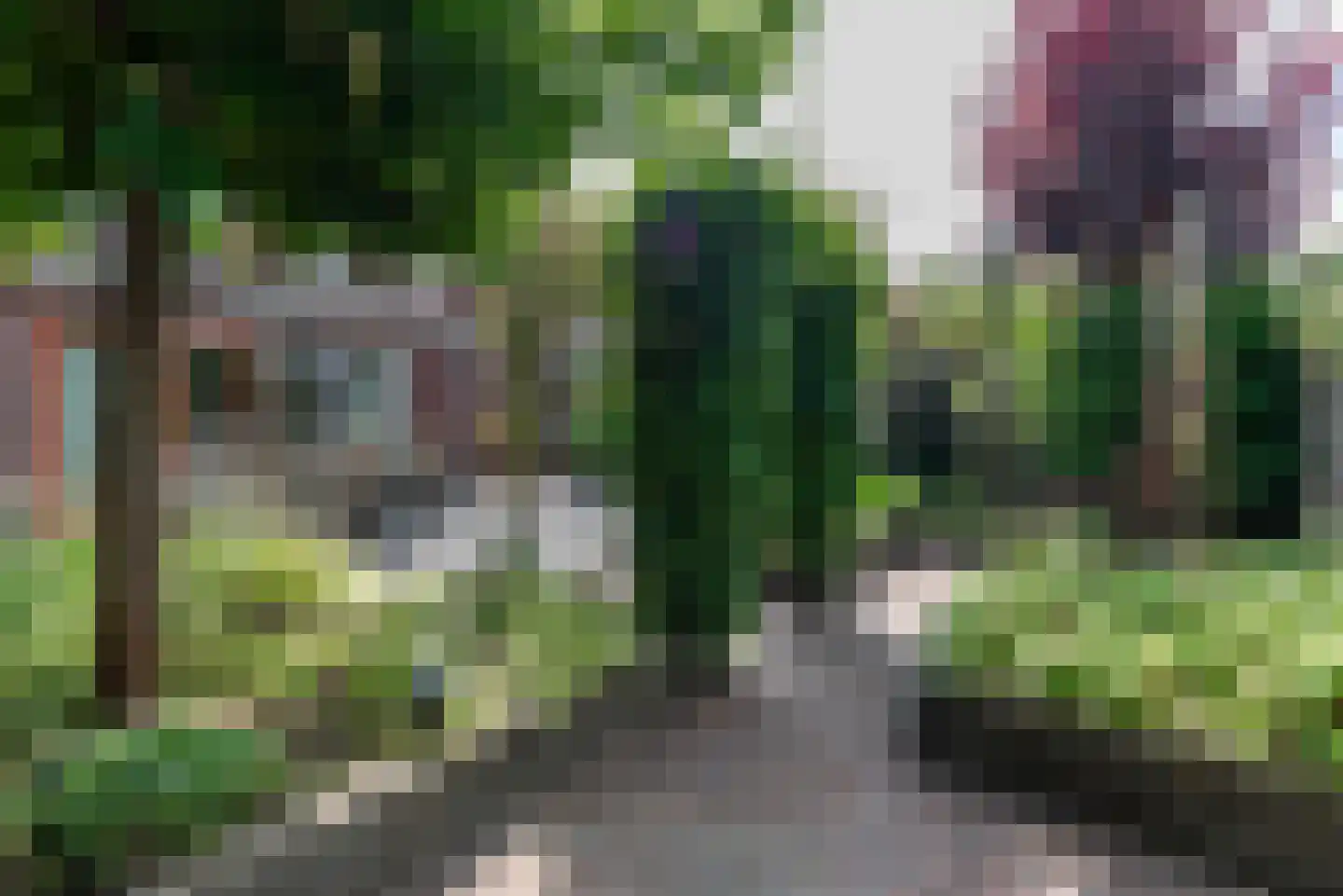 Argusvlinder 6 Nijkerk thumbnail 34