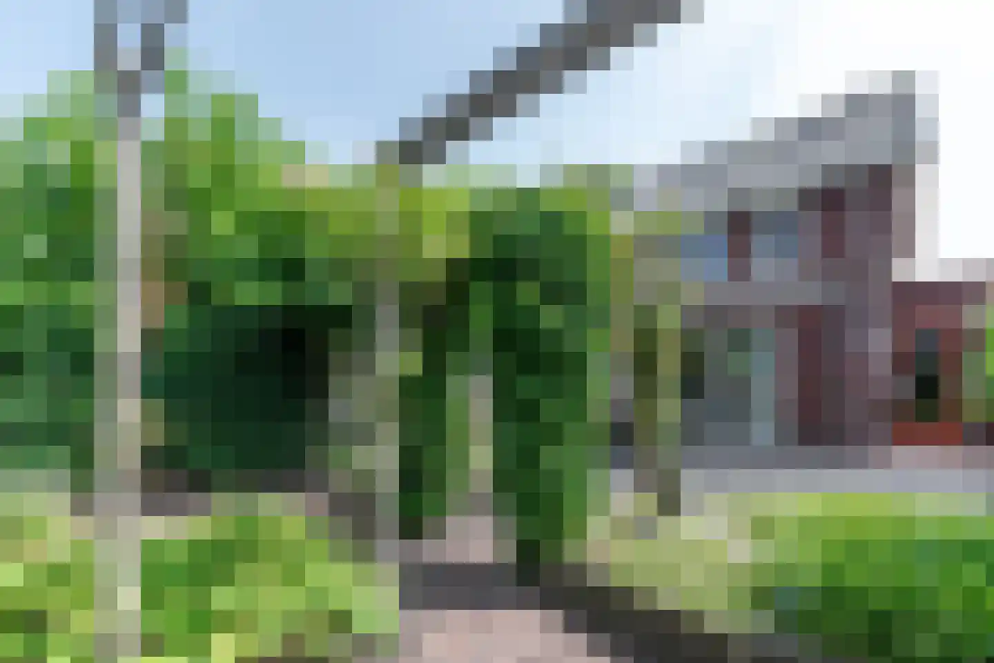 Argusvlinder 6 Nijkerk thumbnail 35