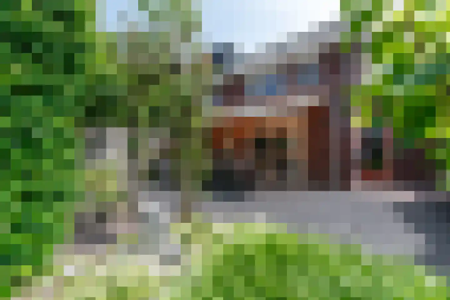 Argusvlinder 6 Nijkerk thumbnail 38