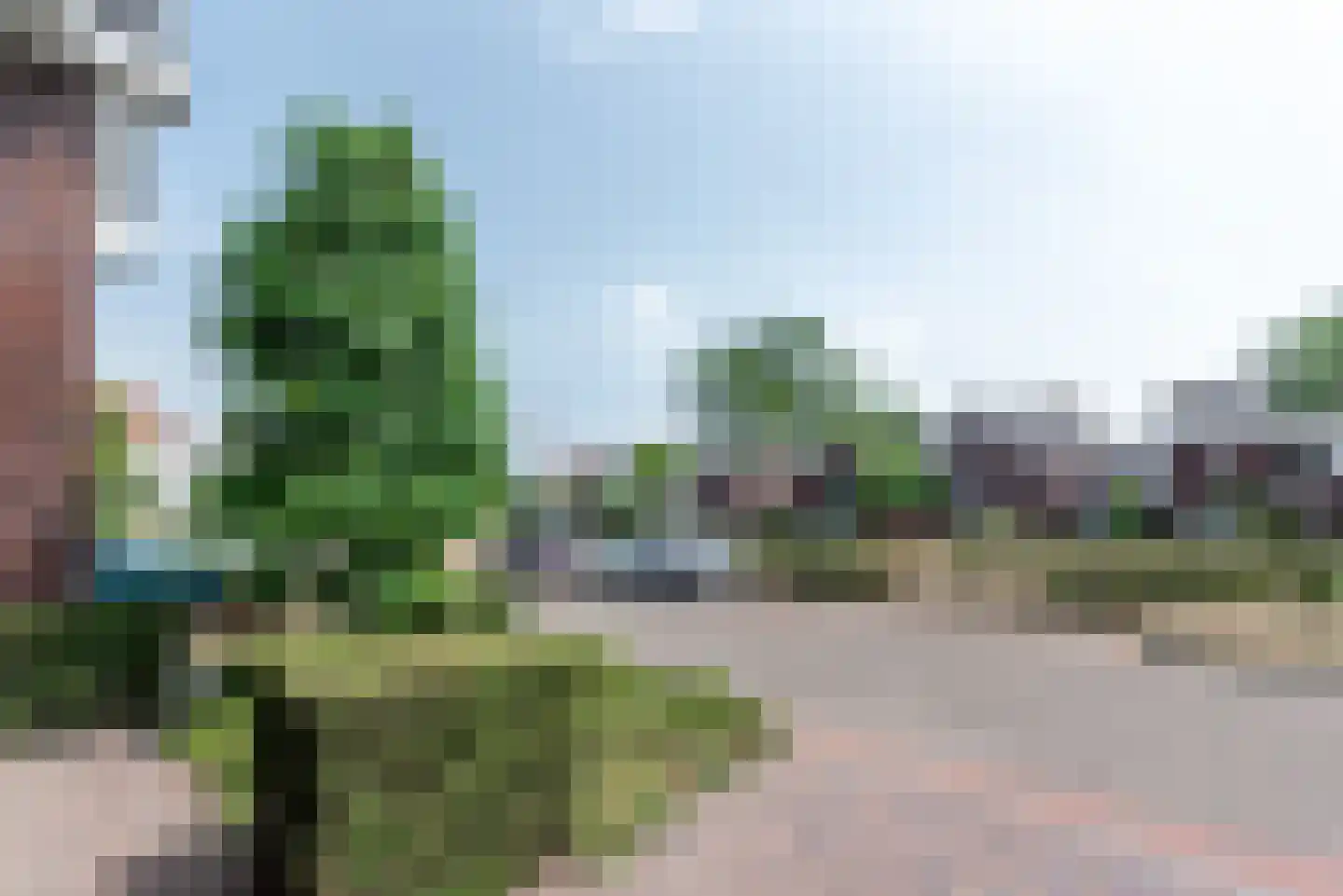 Argusvlinder 6 Nijkerk thumbnail 40