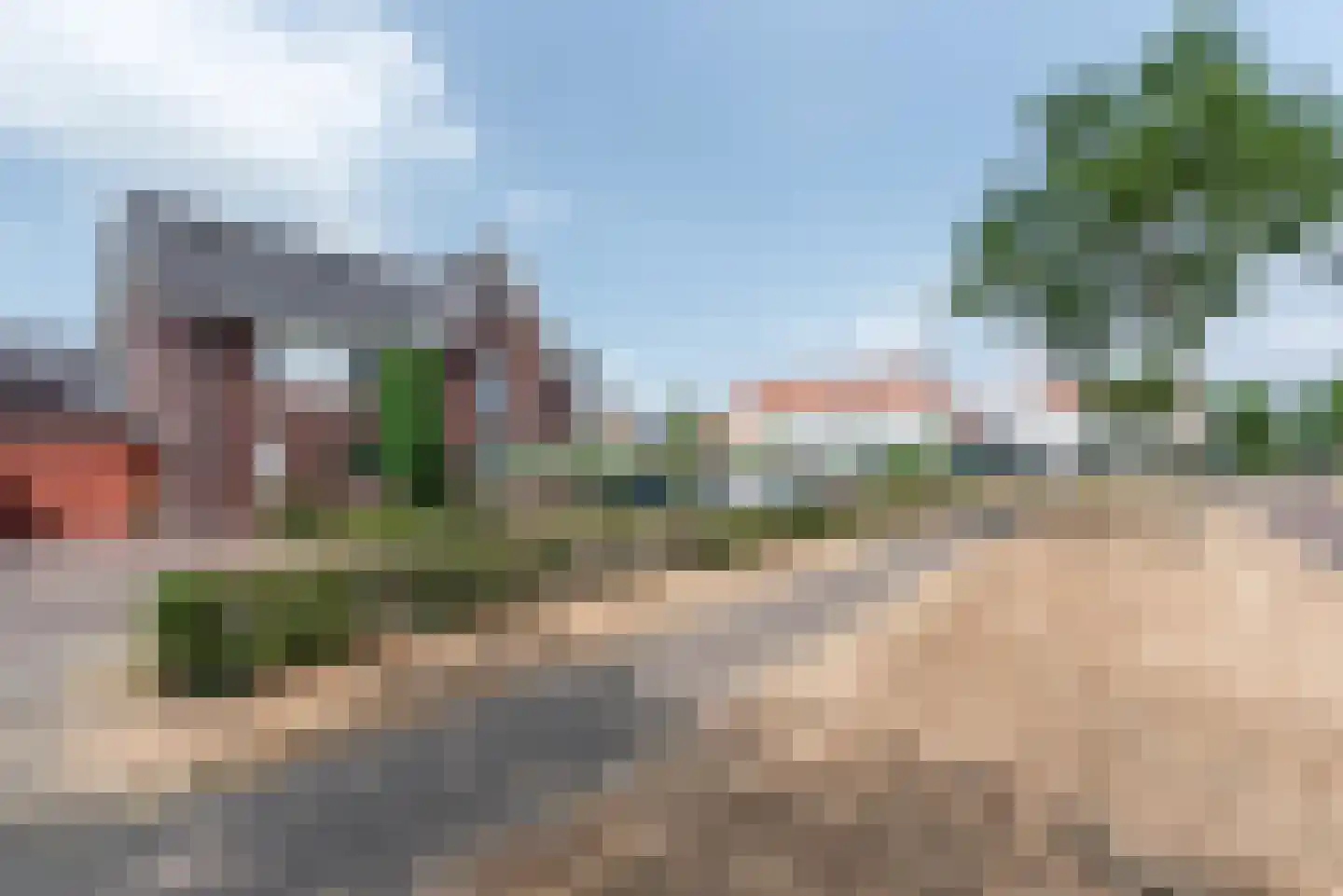 Argusvlinder 6 Nijkerk thumbnail 46