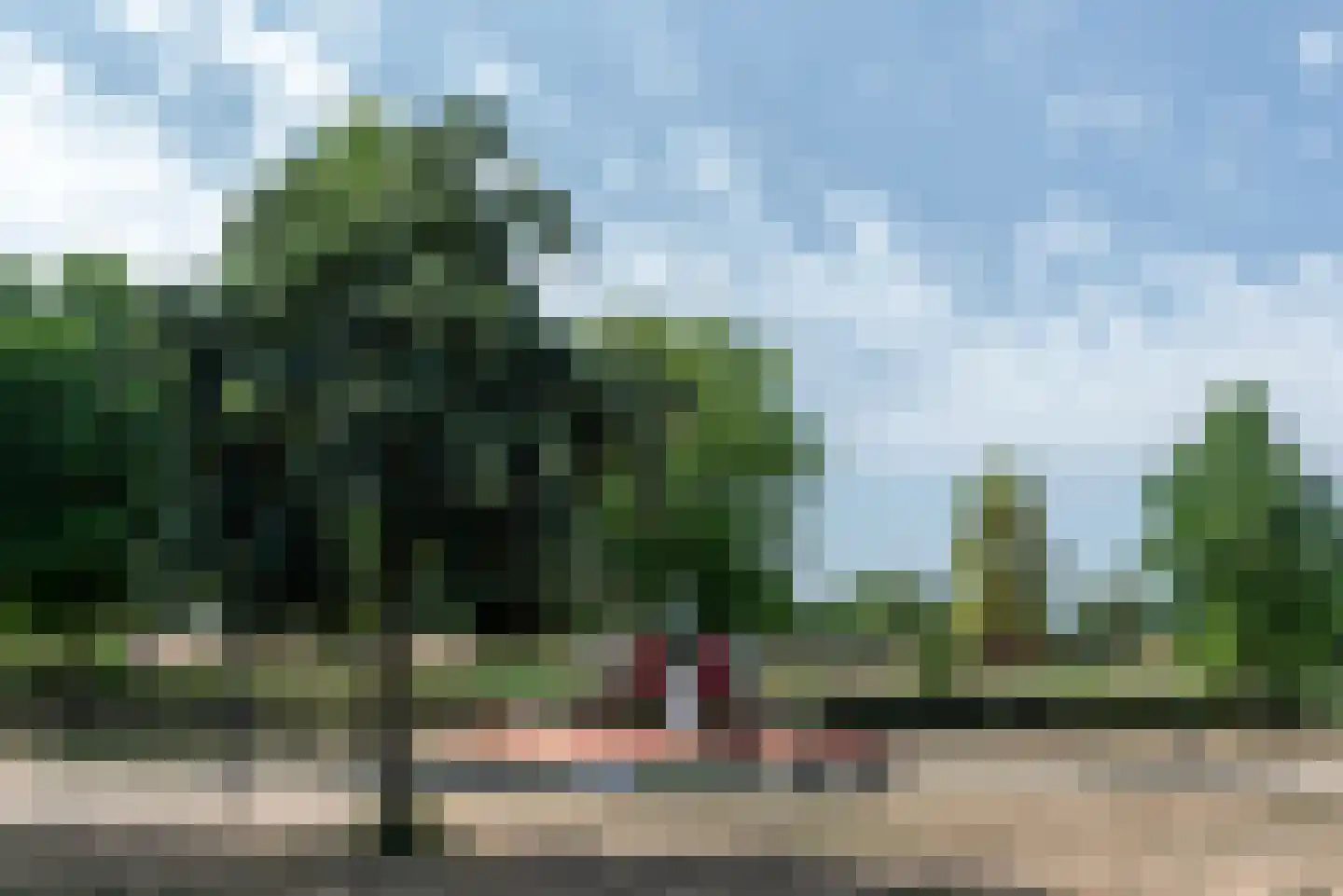 Argusvlinder 6 Nijkerk thumbnail 48