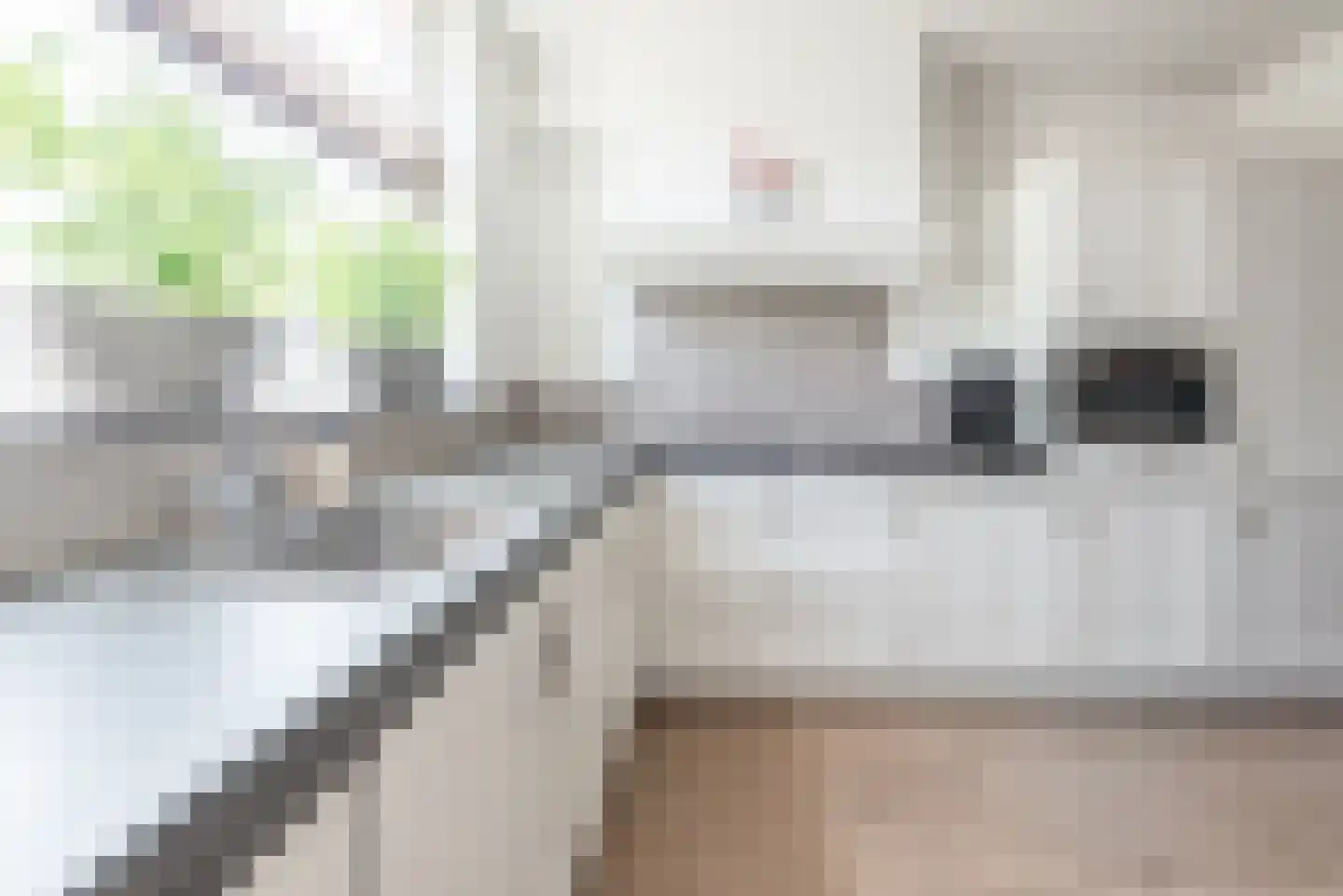 Argusvlinder 6 Nijkerk thumbnail 8