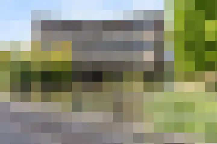 Argusvlinder 67 Breda