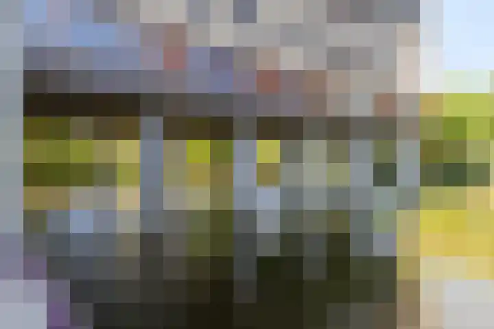 Argusvlinder 67 Breda thumbnail 10
