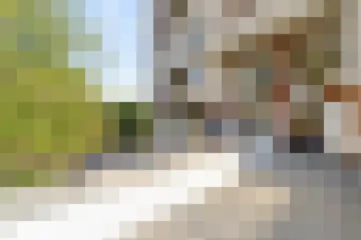 Argusvlinder 67 Breda thumbnail 12