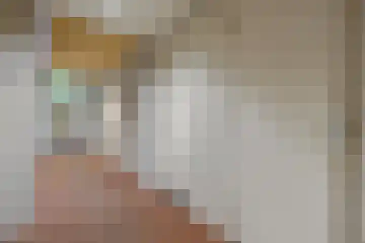 Argusvlinder 67 Breda thumbnail 19