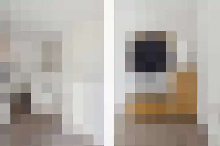 Argusvlinder 67 Breda thumbnail 22