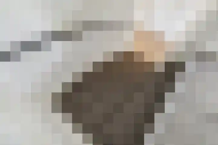 Argusvlinder 67 Breda thumbnail 23