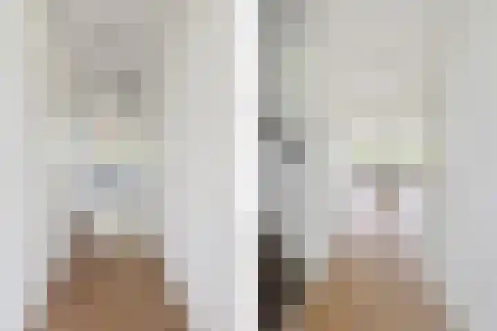 Argusvlinder 67 Breda thumbnail 26