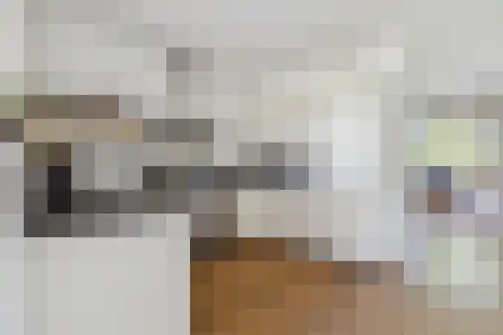 Argusvlinder 67 Breda thumbnail 36