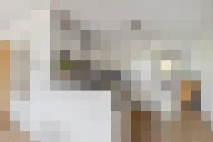 Argusvlinder 67 Breda thumbnail 37