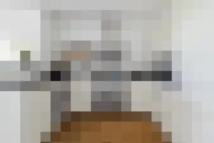 Argusvlinder 67 Breda thumbnail 38