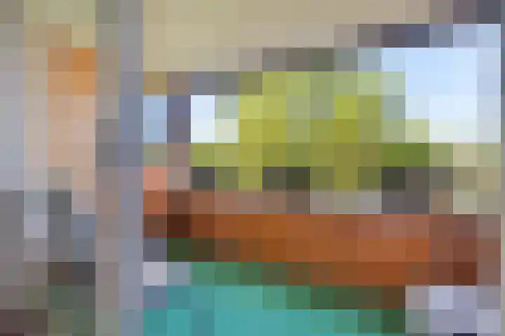 Argusvlinder 67 Breda thumbnail 41