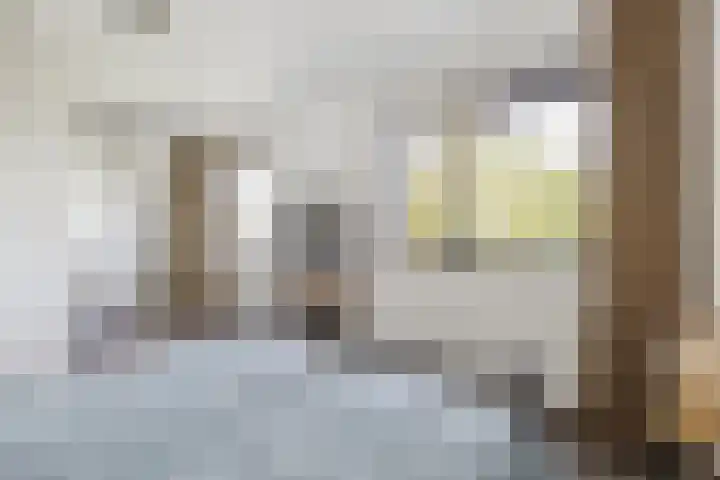 Argusvlinder 67 Breda thumbnail 49