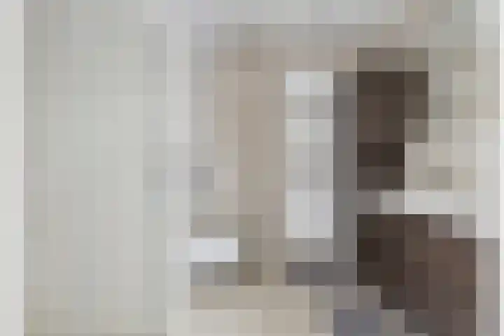 Argusvlinder 67 Breda thumbnail 5