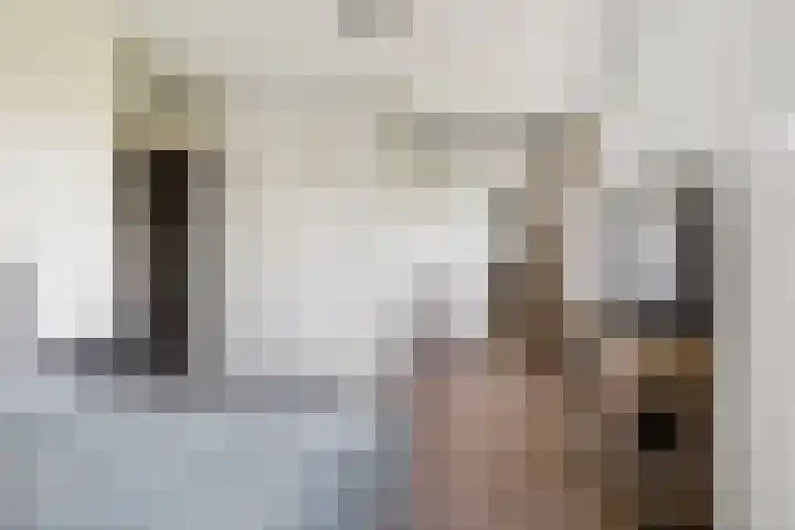Argusvlinder 67 Breda thumbnail 50