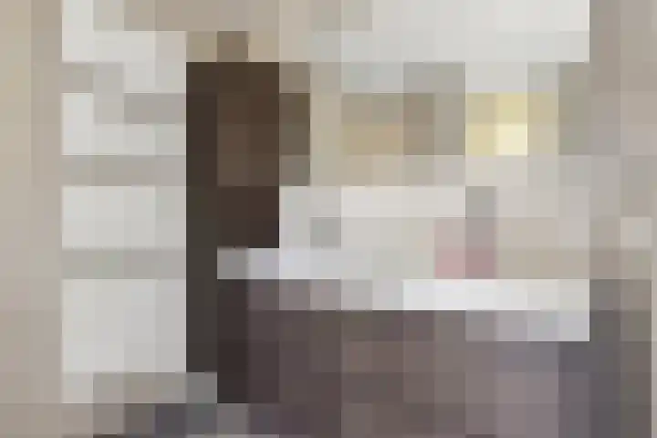 Argusvlinder 67 Breda thumbnail 52