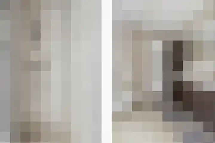 Argusvlinder 67 Breda thumbnail 54