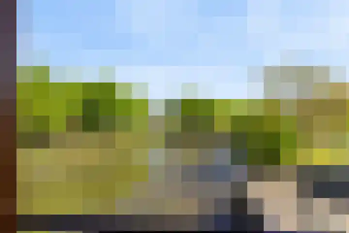 Argusvlinder 67 Breda thumbnail 55