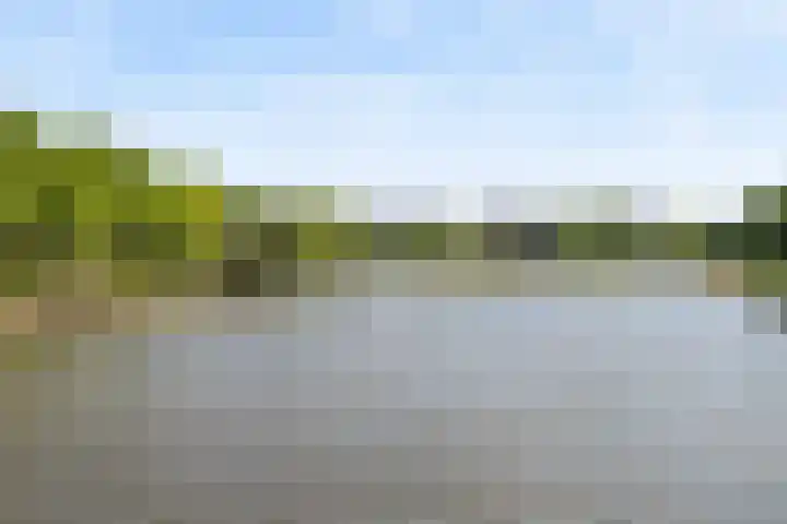 Argusvlinder 67 Breda thumbnail 56