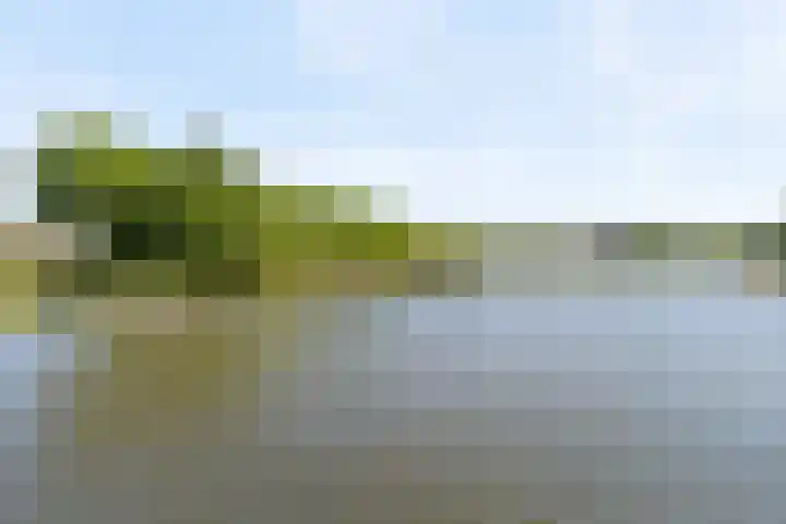 Argusvlinder 67 Breda thumbnail 57