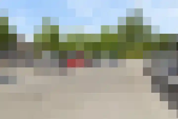Argusvlinder 67 Breda thumbnail 58
