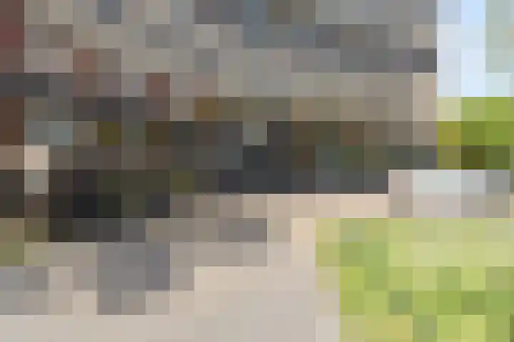 Argusvlinder 67 Breda thumbnail 8