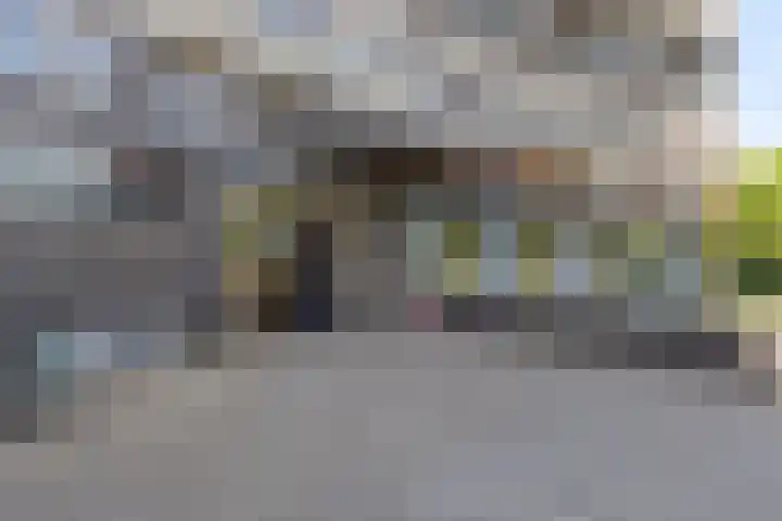 Argusvlinder 67 Breda thumbnail 9