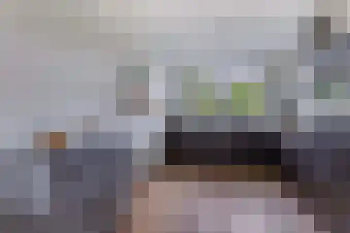 Argusvlinder 8 Apeldoorn thumbnail 11