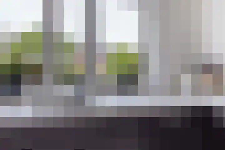 Argusvlinder 8 Apeldoorn thumbnail 14