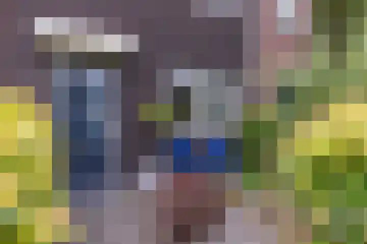 Argusvlinder 8 Apeldoorn thumbnail 33