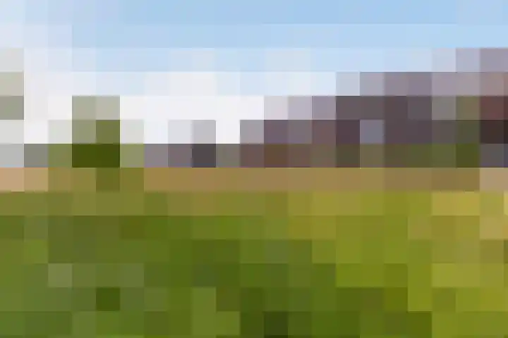 Argusvlinder 8 Apeldoorn thumbnail 35