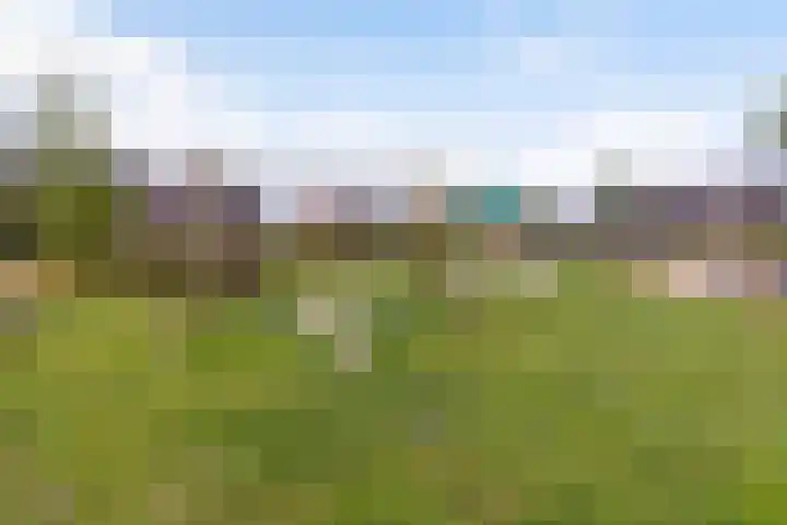 Argusvlinder 8 Apeldoorn thumbnail 38