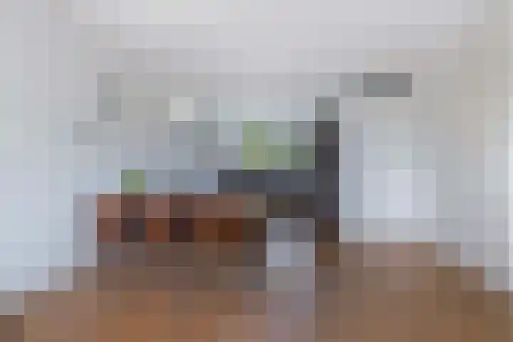Argusvlinder 8 Apeldoorn thumbnail 43