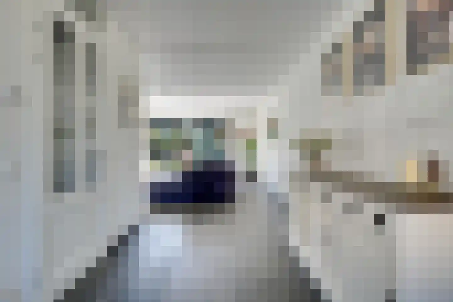 Argusvlinderlaan 23 Culemborg thumbnail 12