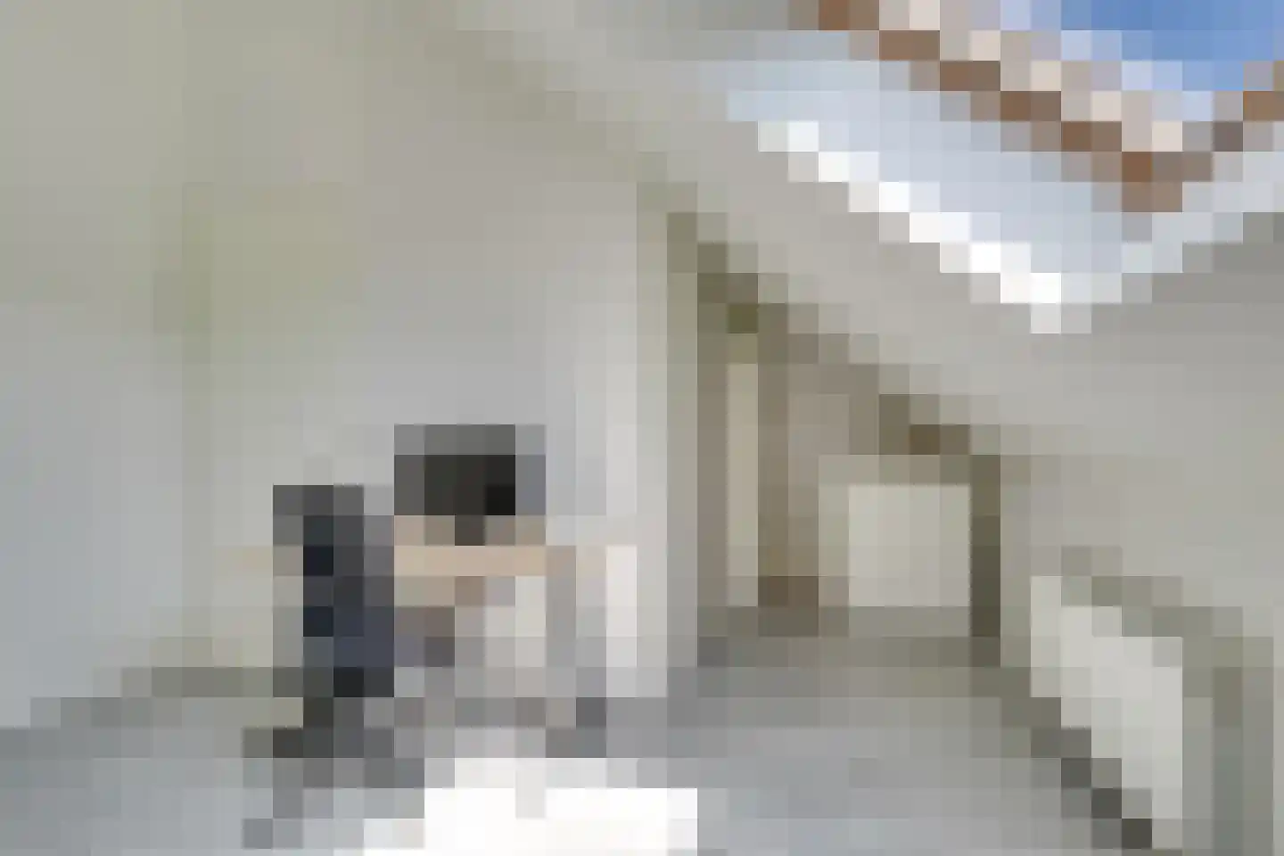 Argusvlinderlaan 23 Culemborg thumbnail 33