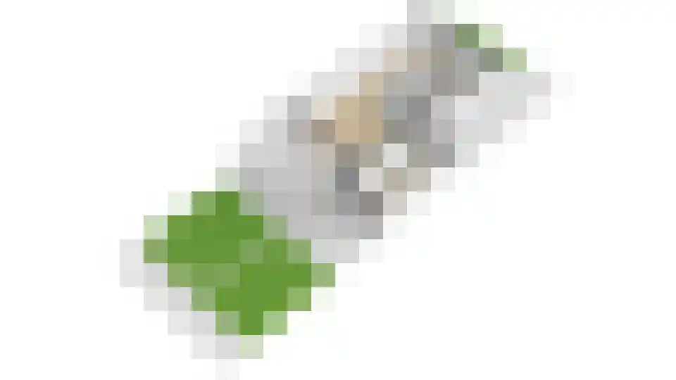 Argusvlinderlaan 23 Culemborg thumbnail 67