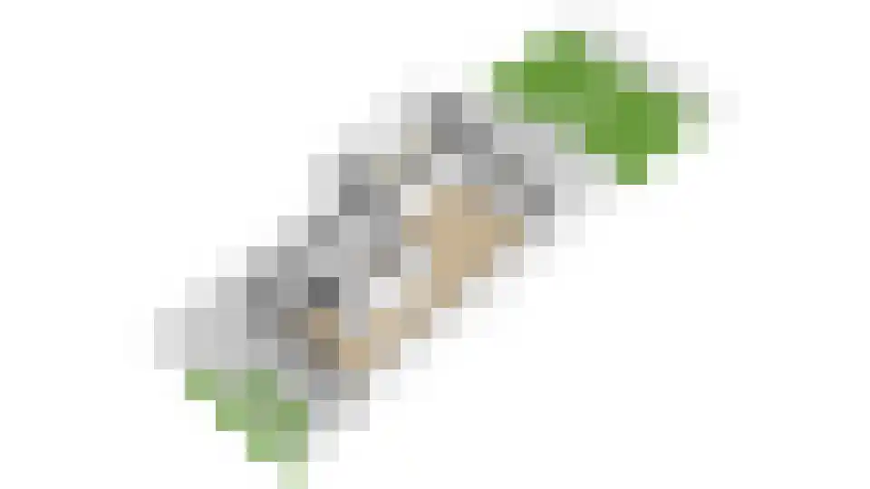 Argusvlinderlaan 23 Culemborg thumbnail 68