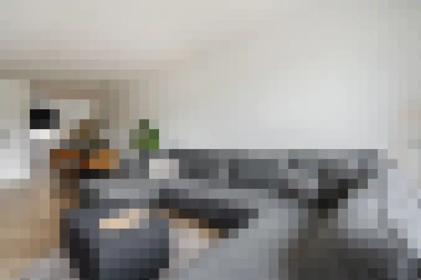 Argusvlinderstraat 28 Rijswijk thumbnail 11