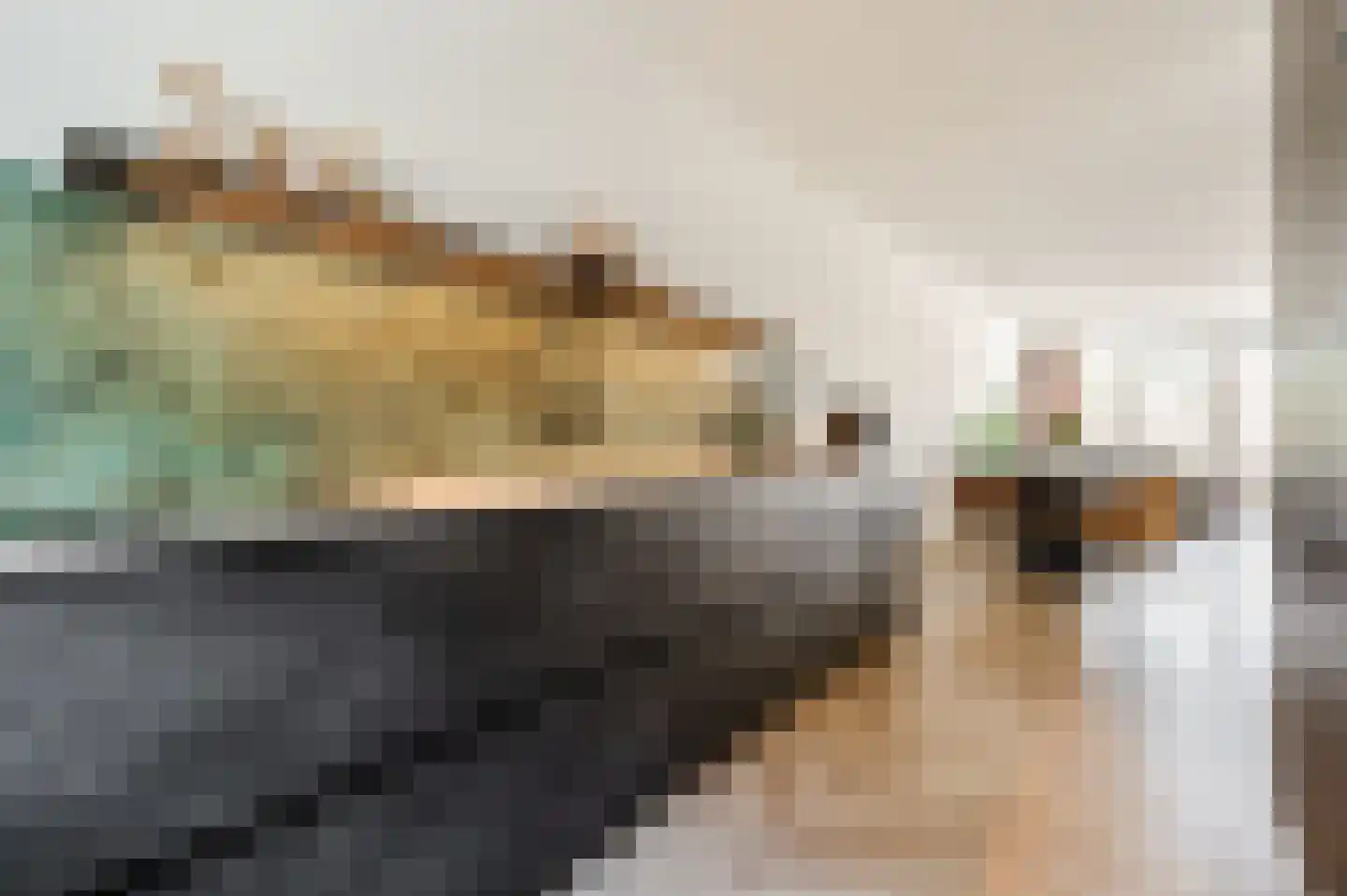 Argusvlinderstraat 28 Rijswijk thumbnail 19