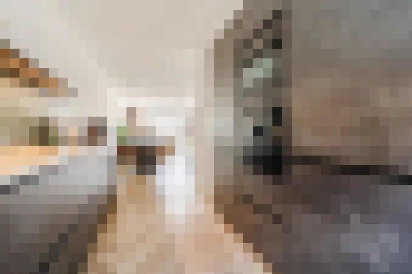 Argusvlinderstraat 28 Rijswijk thumbnail 20