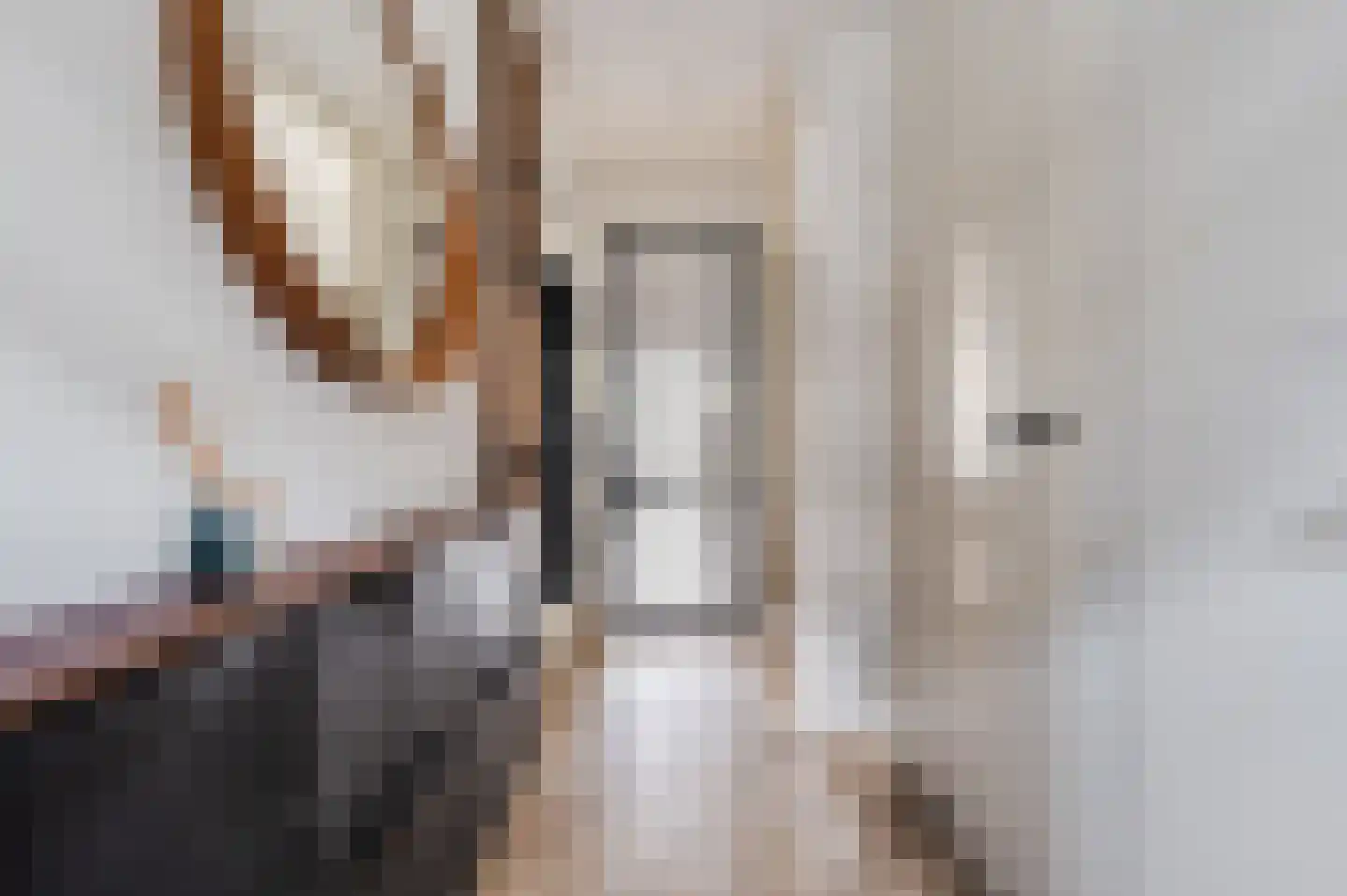 Argusvlinderstraat 28 Rijswijk thumbnail 21