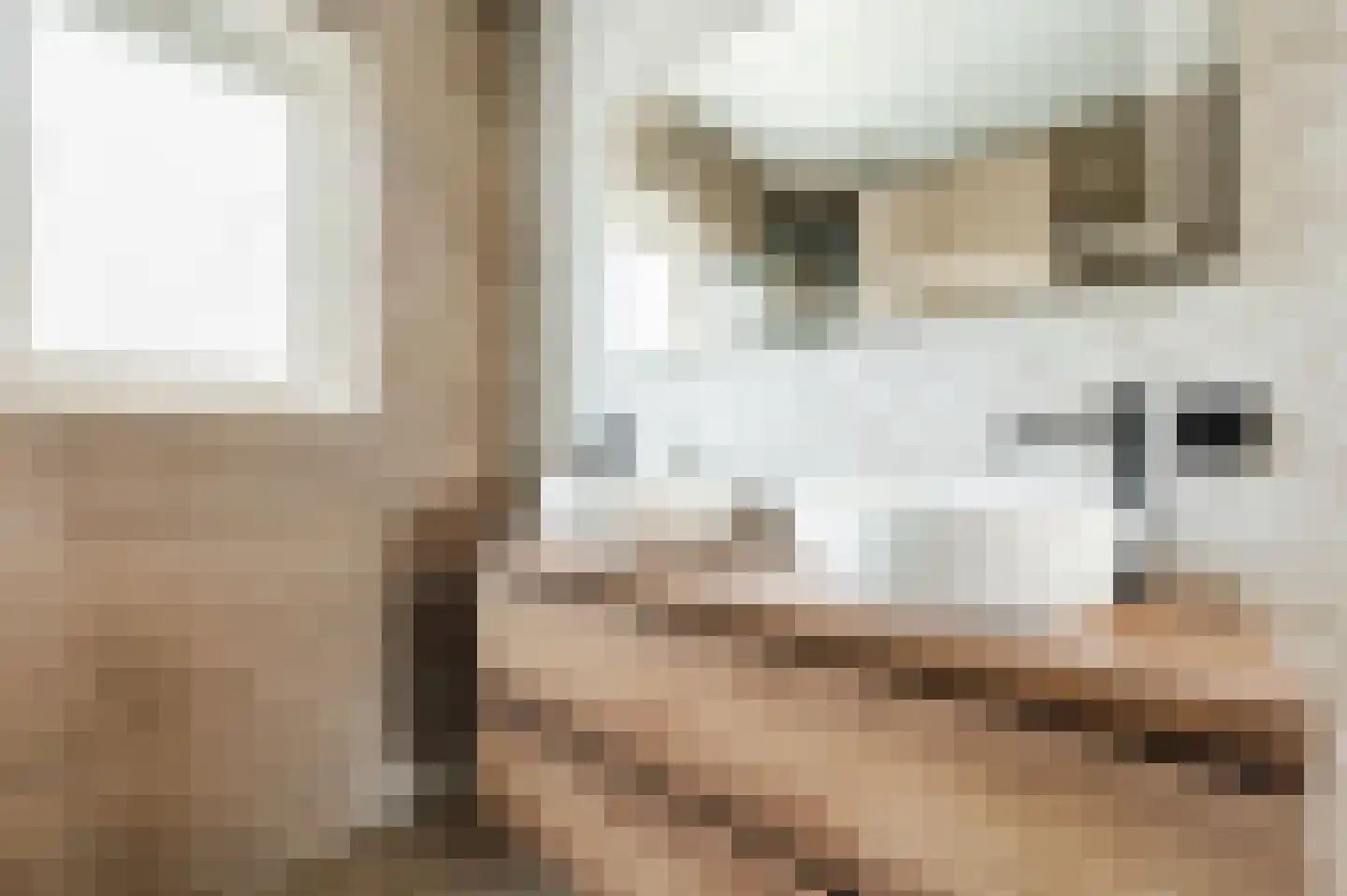 Argusvlinderstraat 28 Rijswijk thumbnail 35