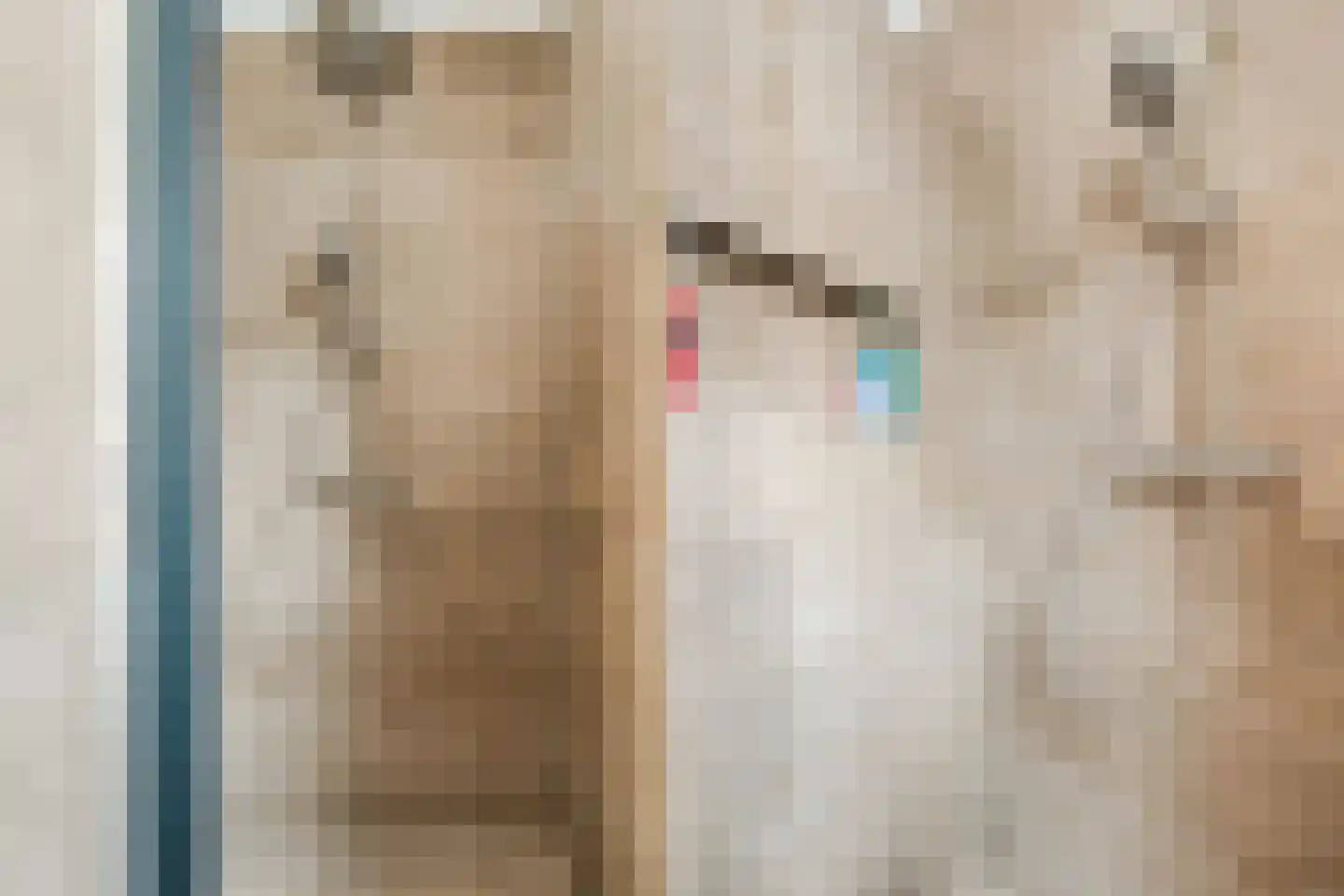 Argusvlinderstraat 28 Rijswijk thumbnail 39